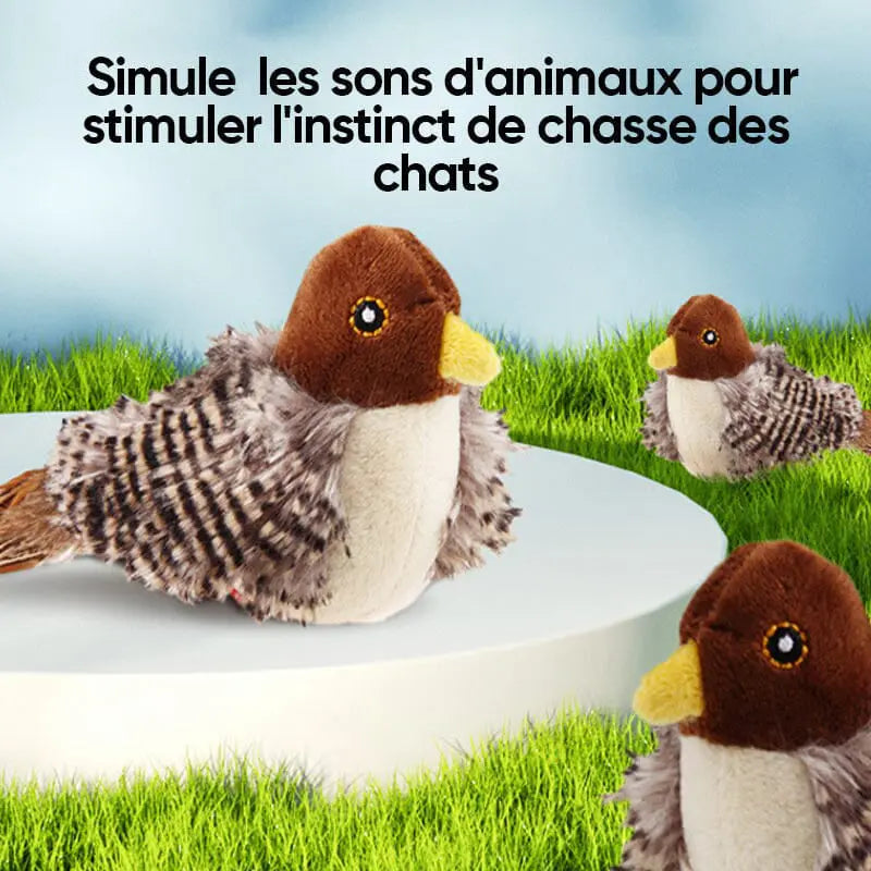 Gazouillo™ | Jouet pour chats 1ST Horizon