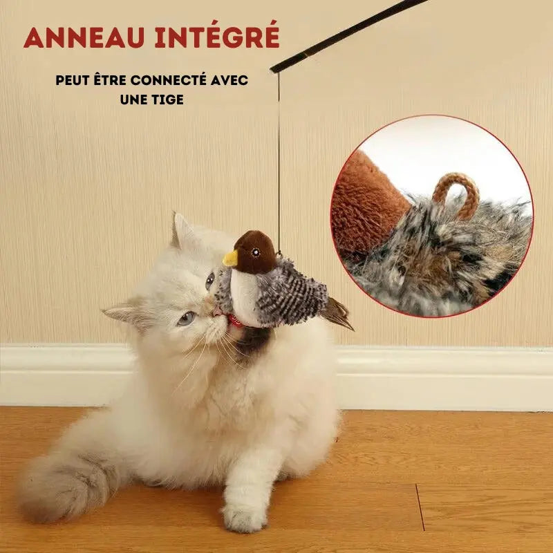 Gazouillo™ | Jouet pour chats 1ST Horizon