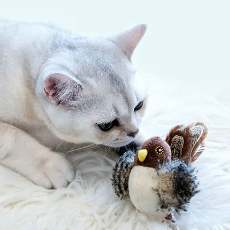 Gazouillo™ | Jouet pour chats 1ST Horizon