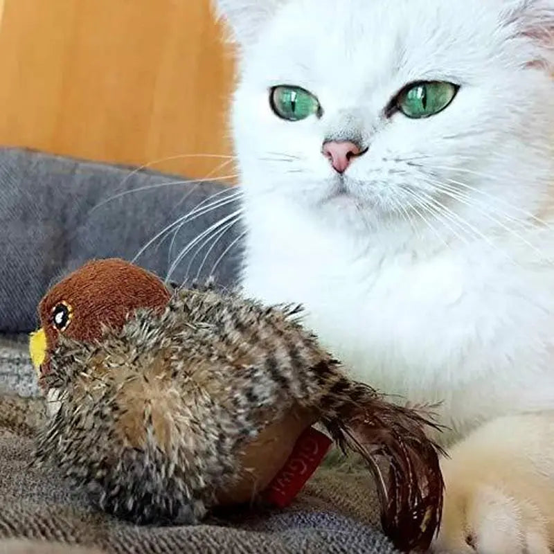 Gazouillo™ | Jouet pour chats 1ST Horizon