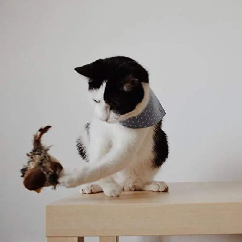 Gazouillo™ | Jouet pour chats 1ST Horizon