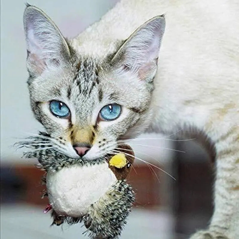 Gazouillo™ | Jouet pour chats 1ST Horizon