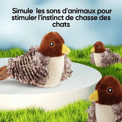 Gazouillo™ | Jouet pour chats 1ST Horizon